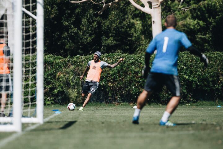 david beckham adidas ace david beckham adidas ace